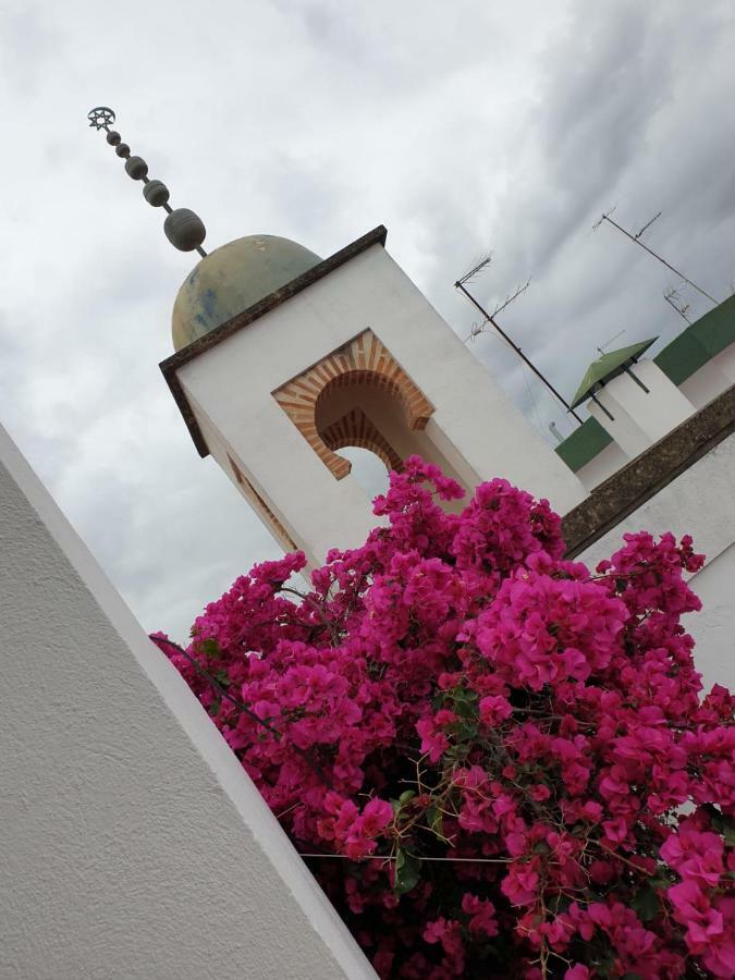Entre 2 Mezquitas Apartamento 8 Córdoba Kültér fotó