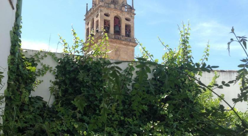 Entre 2 Mezquitas Apartamento 8 Córdoba Kültér fotó